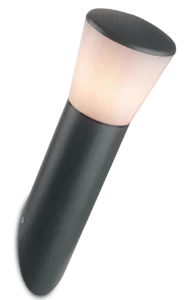 Category Image