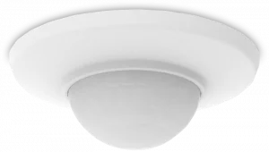 Category Image