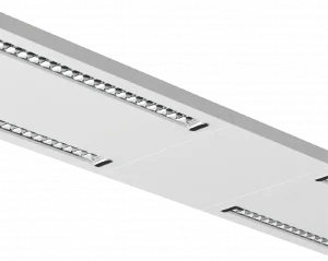 Category Image