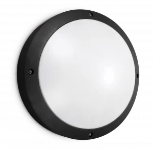Category Image